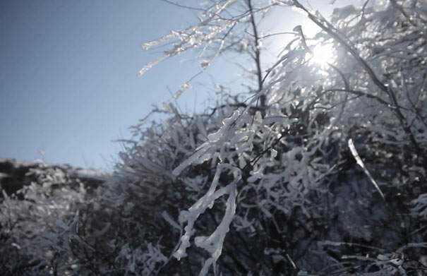 冬季重庆旅游：巫溪红池坝雪景