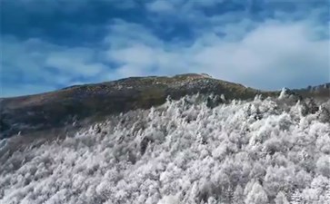 三峽旅游：神農架雪景