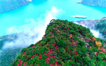 重庆三峡旅游：巫峡红叶