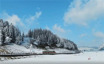 冬季重庆武隆仙女山雪景