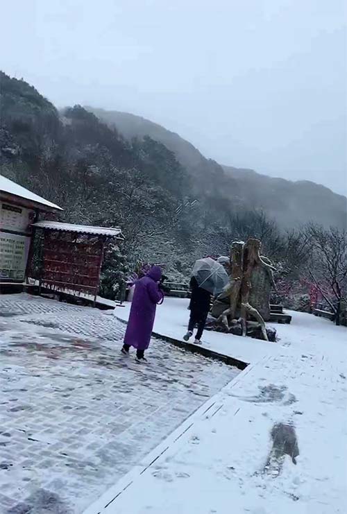 2021年12月17日早晨金佛山雪景实拍