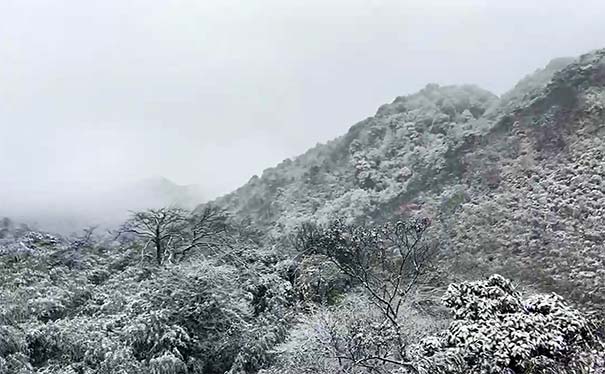 2021年12月17日早晨金佛山雪景实拍