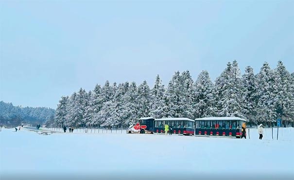 仙女山冰雪旅游：雪中小火车