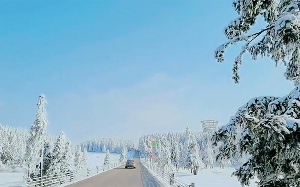 仙女山冰雪旅游：树顶漫步雪景