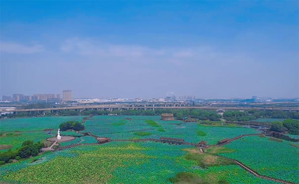 冬季扬州旅游：荷塘月色湿地公园