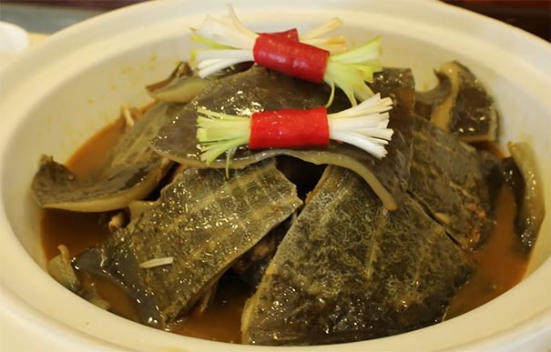 湖南旅游味道湖南美食季推荐美食：红烧汉寿甲鱼