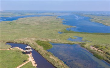 山东旅游：东营黄河入海口