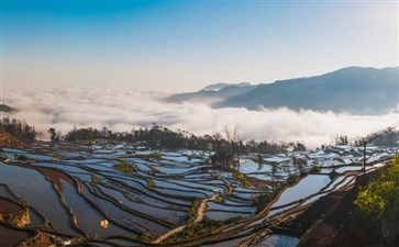 云南旅游：元阳箐口梯田