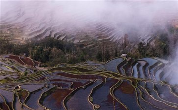 云南旅游：元阳达坝梯田