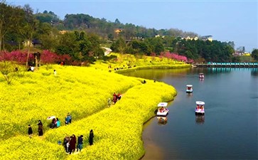 重庆赏花一日游：云林天乡油菜花与樱花盛开