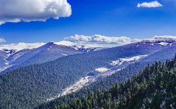 西藏旅游：林芝鲁朗林海