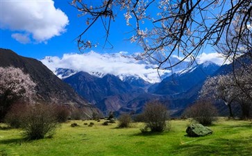 西藏旅游：林芝嘎啦桃花村