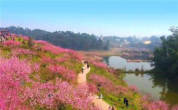 重庆周边一日游：永川圣水湖桃花岛