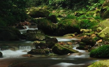 湖南旅游：张家界景区金鞭溪大峡谷