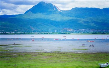 云南旅游：丽江拉市海湿地公园