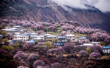 林芝旅游：嘎啦桃花村桃花沟