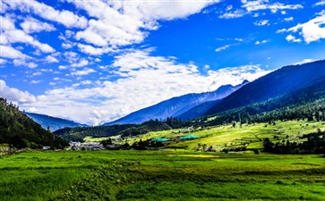 重庆到西藏旅游：林芝鲁朗花海牧场