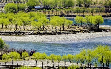 重庆到西藏旅游：林芝雅尼国家湿地公园