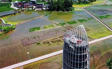 重庆周边游：大足隆平五彩田园