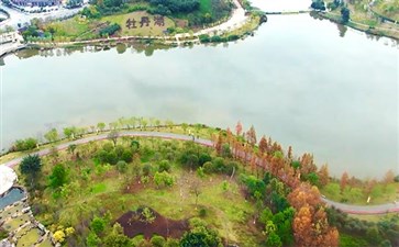 重庆垫江牡丹节：牡丹湖湿地公园