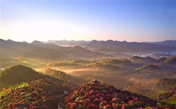 重庆自驾游：贵州毕节百里杜鹃夕阳