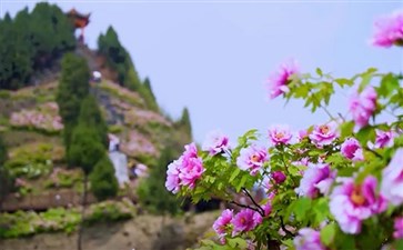 重庆周边旅游：垫江恺之峰牡丹园