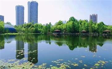 重庆周边一日游：璧山观音塘湿地公园
