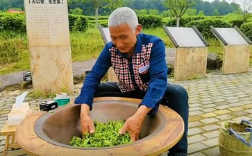 重庆自驾游：铜梁安溪镇千亩茶园炒茶