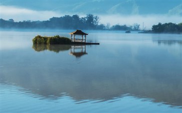 湖北旅游：神农架大九湖晨雾