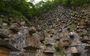 湖北旅游：神农架官门山