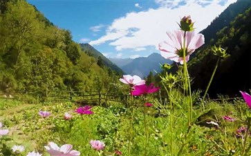 特价川西旅游：孟屯河谷老君沟