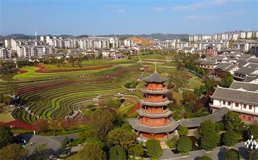 百里杜鹃旅游：大方奢香古镇