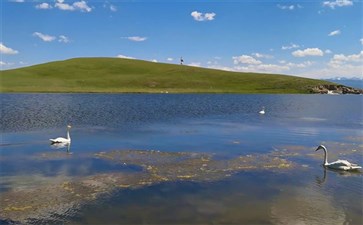 新疆旅游专列：伊犁巴音布鲁克天鹅湖景区