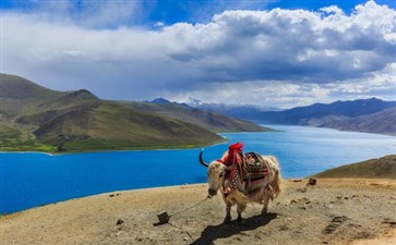 旅游专列：西藏羊桌雍措