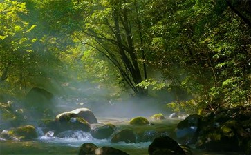 重庆一日游：武陵山大裂谷溪流