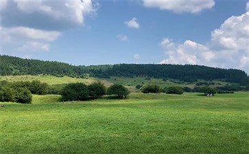 纯玩小包团武隆旅游：仙女山国家森林公园景区