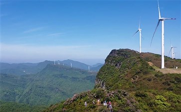 重庆武隆赵云山高山杜鹃花开