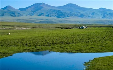 新疆旅游：巴音布鲁克大草原