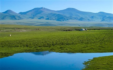 新疆旅游：巴音布鲁克草原