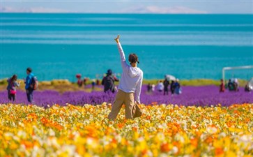 重庆自驾旅游：甘青环线青海湖湖畔花海