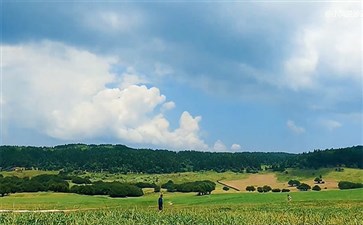 重庆旅游：重庆武隆仙女山国家森林公园