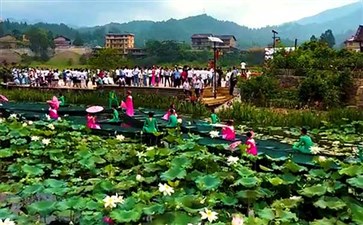 重庆武隆大田湿地