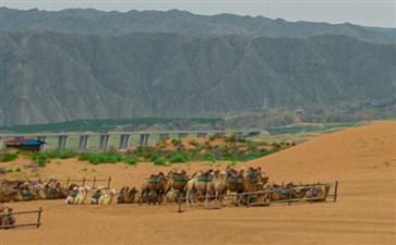 沙漠露营旅游：腾格里沙漠沙坡头