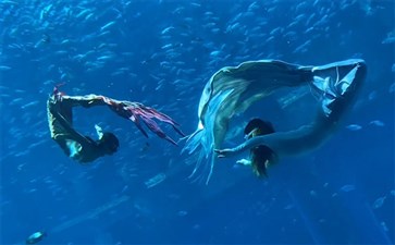 三亚旅游：亚特兰蒂斯水族馆