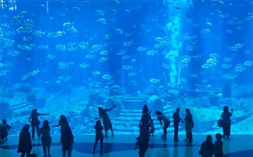 三亚旅游：亚特兰蒂斯水族馆