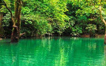 贵州旅游：荔波小七孔水上森林