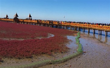 夕阳红旅游专列：东北辽宁盘锦红海滩