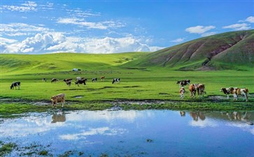 夕阳红旅游专列：内蒙古呼伦贝尔大草原