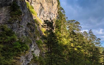 湖北旅游：神农架自然保护区