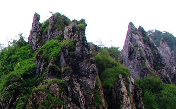 湖北旅游：神农架自然保护区